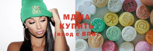 индика Дмитриев