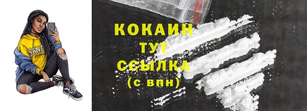дживик Ельня