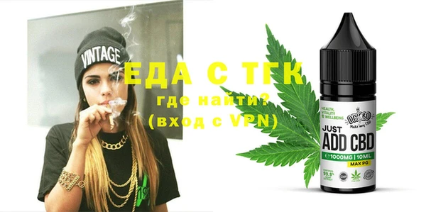 дживик Ельня