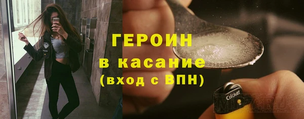 дживик Ельня
