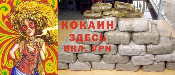 дживик Ельня