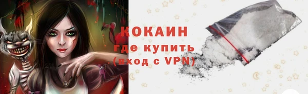 дживик Ельня