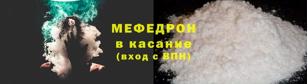 дживик Ельня