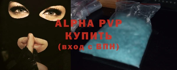 дживик Ельня