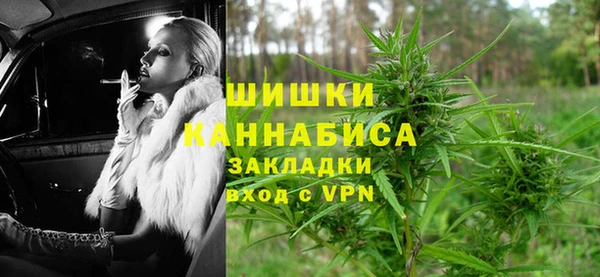 дживик Ельня