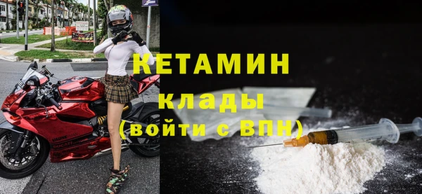 дживик Ельня