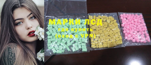 дживик Ельня