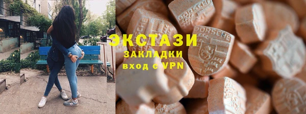 дживик Ельня