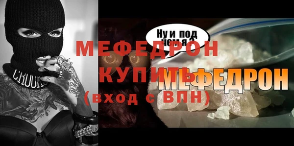 дживик Ельня