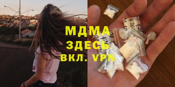 дживик Ельня