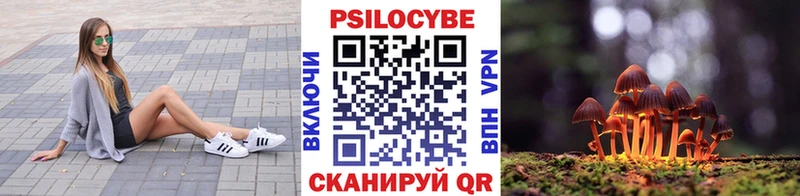 Галлюциногенные грибы Psilocybine cubensis сайты даркнета телеграм Мураши