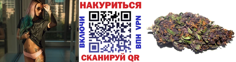 как найти   Мураши  блэк спрут   Каннабис сатива 